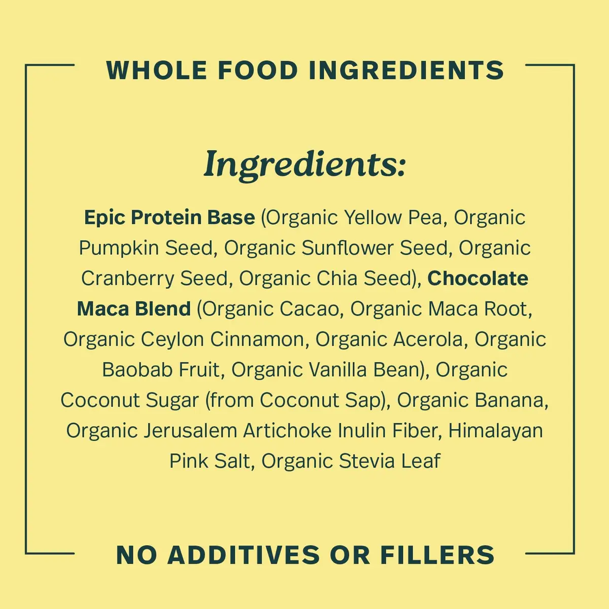 Sprout Living Epic Protein Plant Based Protein & Superfoods Powder, Chocolate Maca | 20g Organic Vegan, Gluten Free, Low Sugar (1 Pound, 12 Servings) - view 7