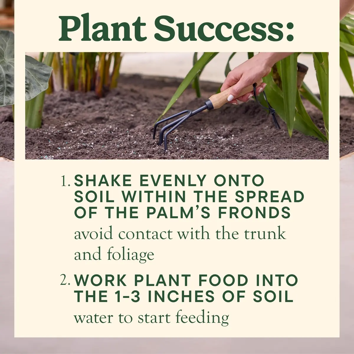 Miracle-Gro Shake 'N Feed Palm Plant Food 4.5 lb. | Supports lush palms & tropical plants - view 5