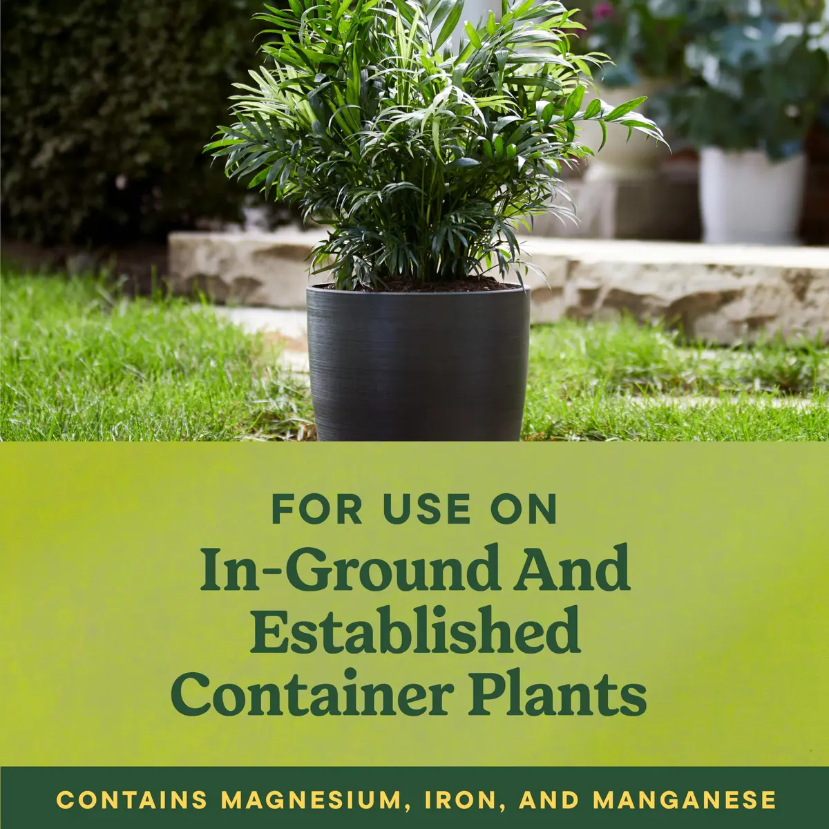 Miracle-Gro Shake 'N Feed Palm Plant Food 4.5 lb. | Supports lush palms & tropical plants - view 7