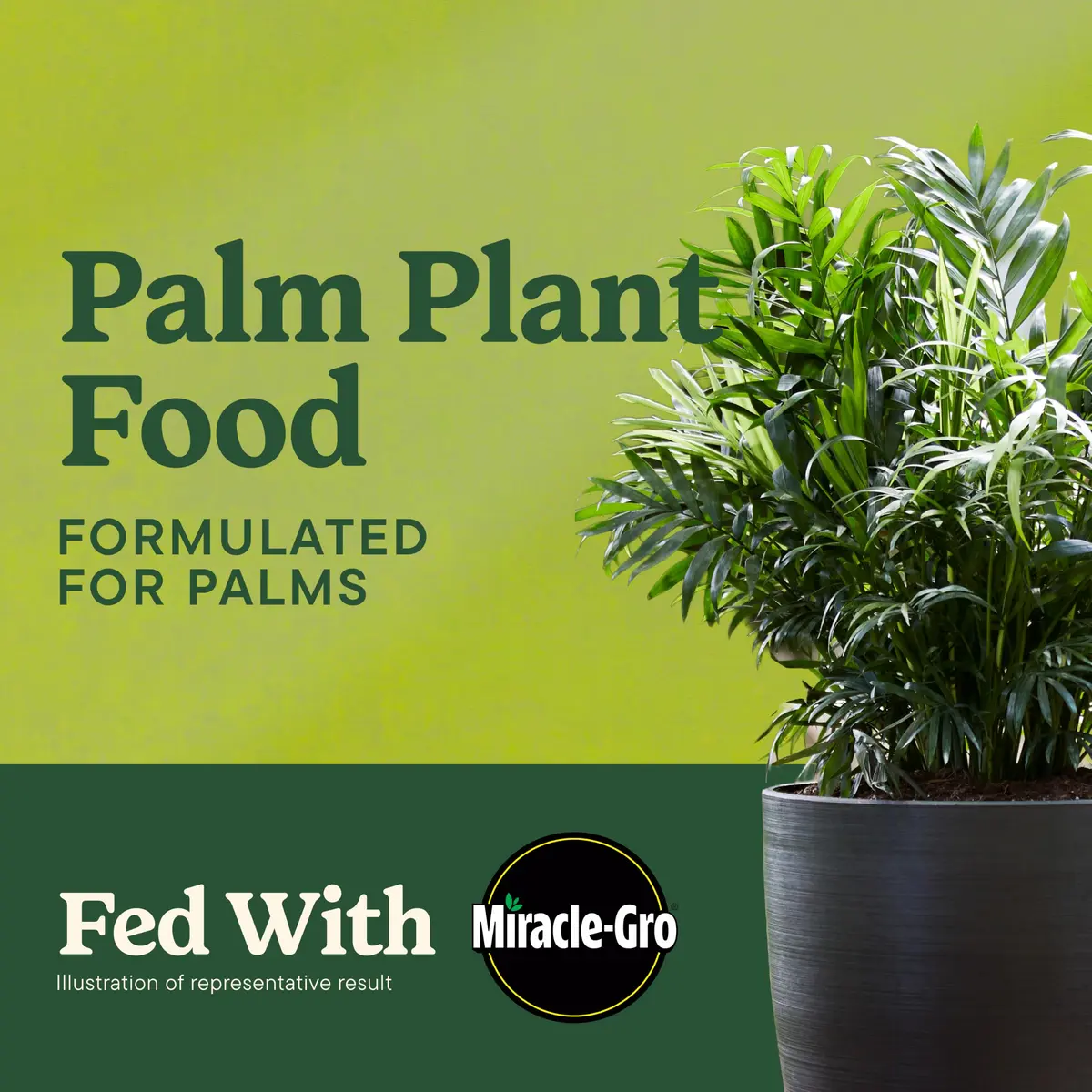 Miracle-Gro Shake 'N Feed Palm Plant Food 4.5 lb. | Supports lush palms & tropical plants - view 2