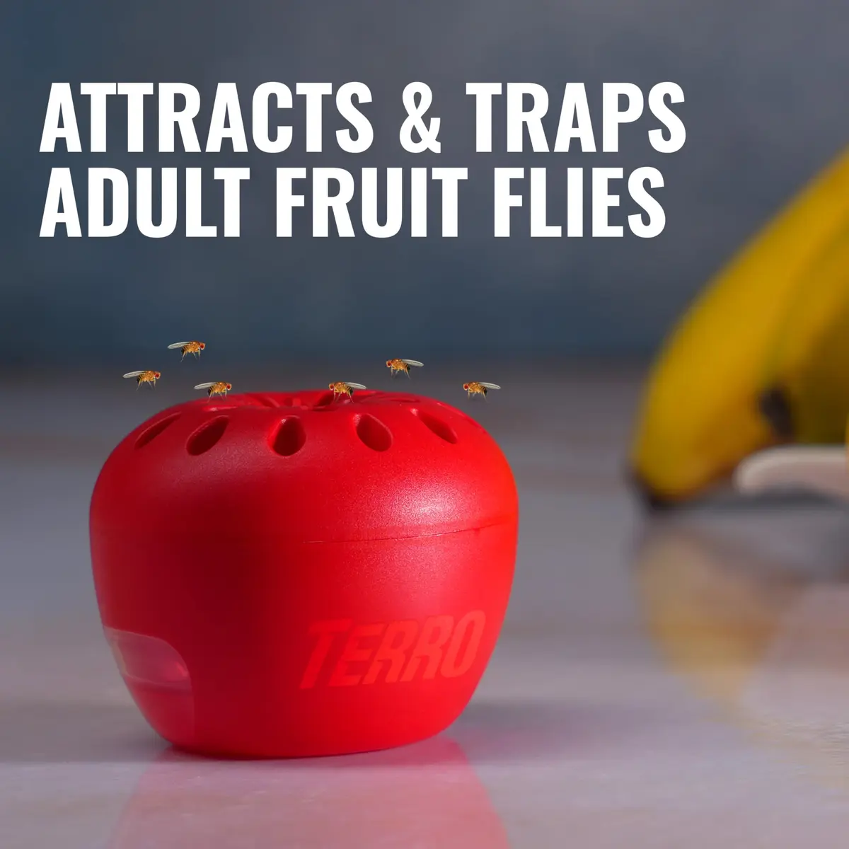 Terro Fruit Fly Trap 4-Pack | 180 Days Lure Supply, Food-Based - view 3