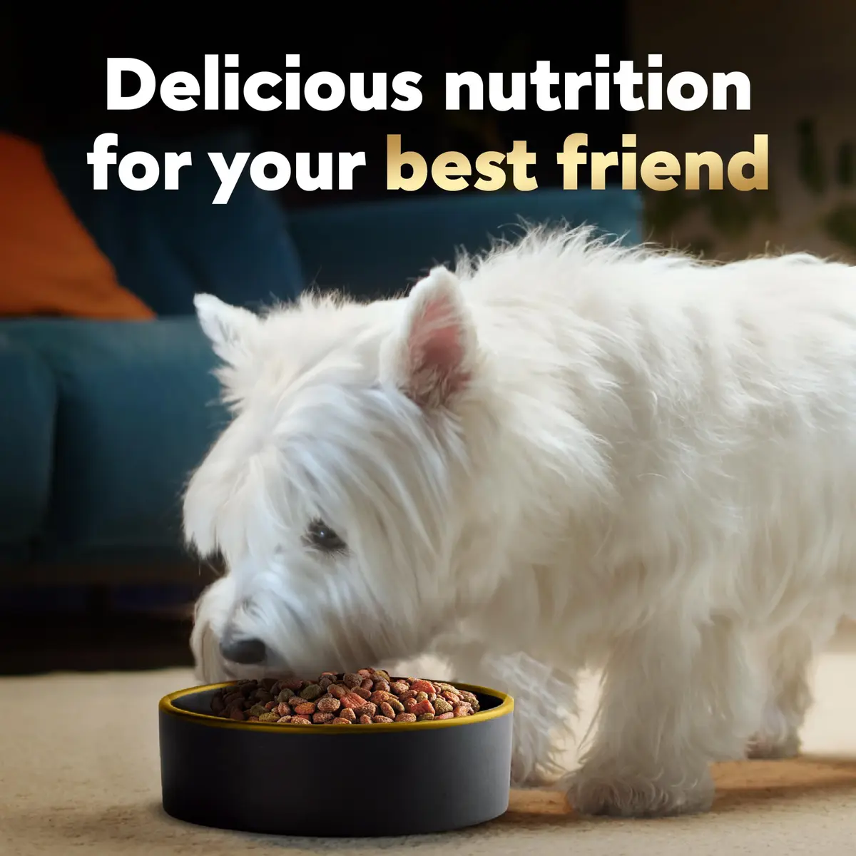 Cesar Small Breed Dry Dog Food Filet Mignon & Spring Vegetables 2.7 lb | Gourmet Nutrition for Small Dogs - view 6