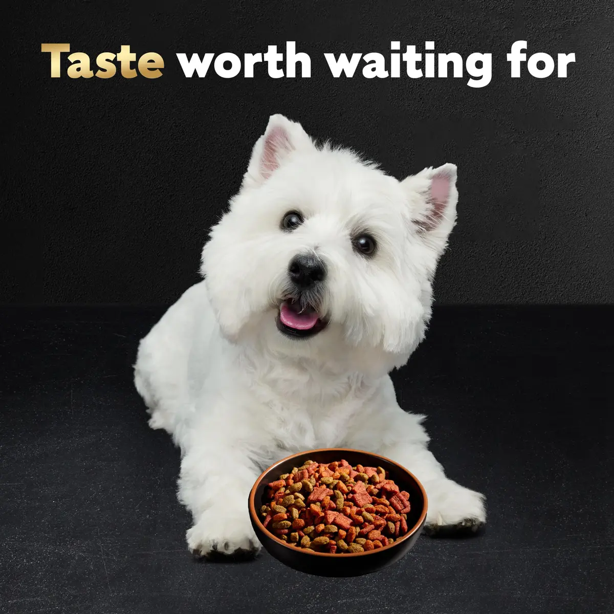 Cesar Small Breed Dry Dog Food Filet Mignon & Spring Vegetables 2.7 lb | Gourmet Nutrition for Small Dogs - view 8