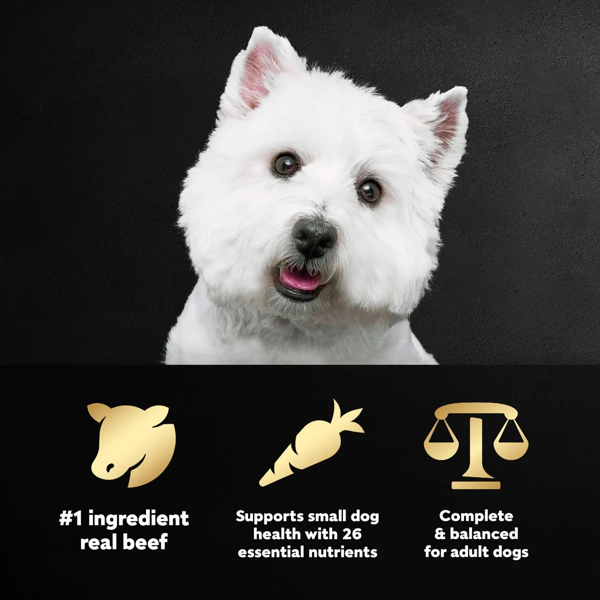 Cesar Small Breed Dry Dog Food Filet Mignon & Spring Vegetables 2.7 lb | Gourmet Nutrition for Small Dogs - view 2