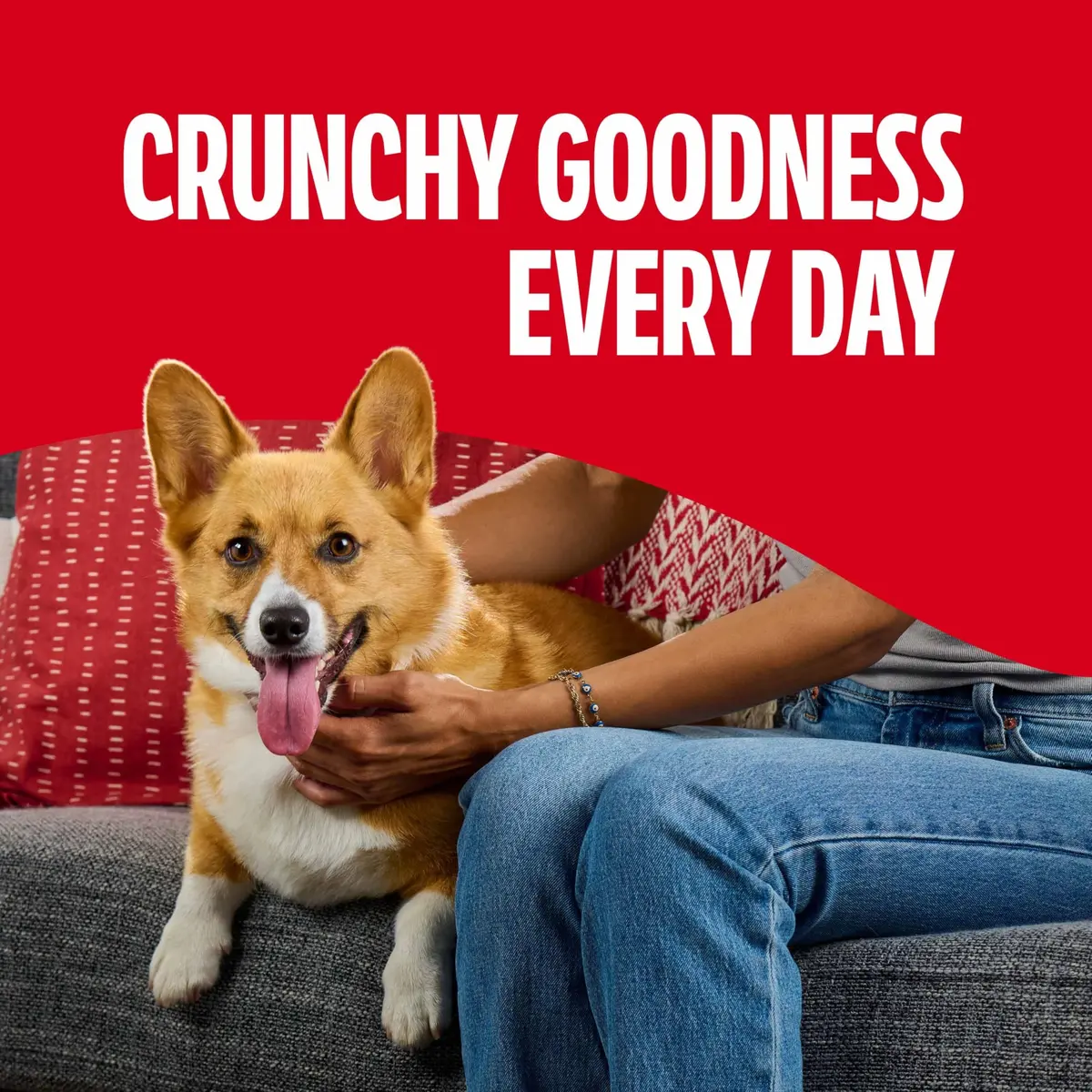 Milk-Bone Flavor Snacks Small Dog Biscuits 60 oz Boxes | Crunchy, Wholesome Treats with 15% Protein & 12 Vitamins - view 6