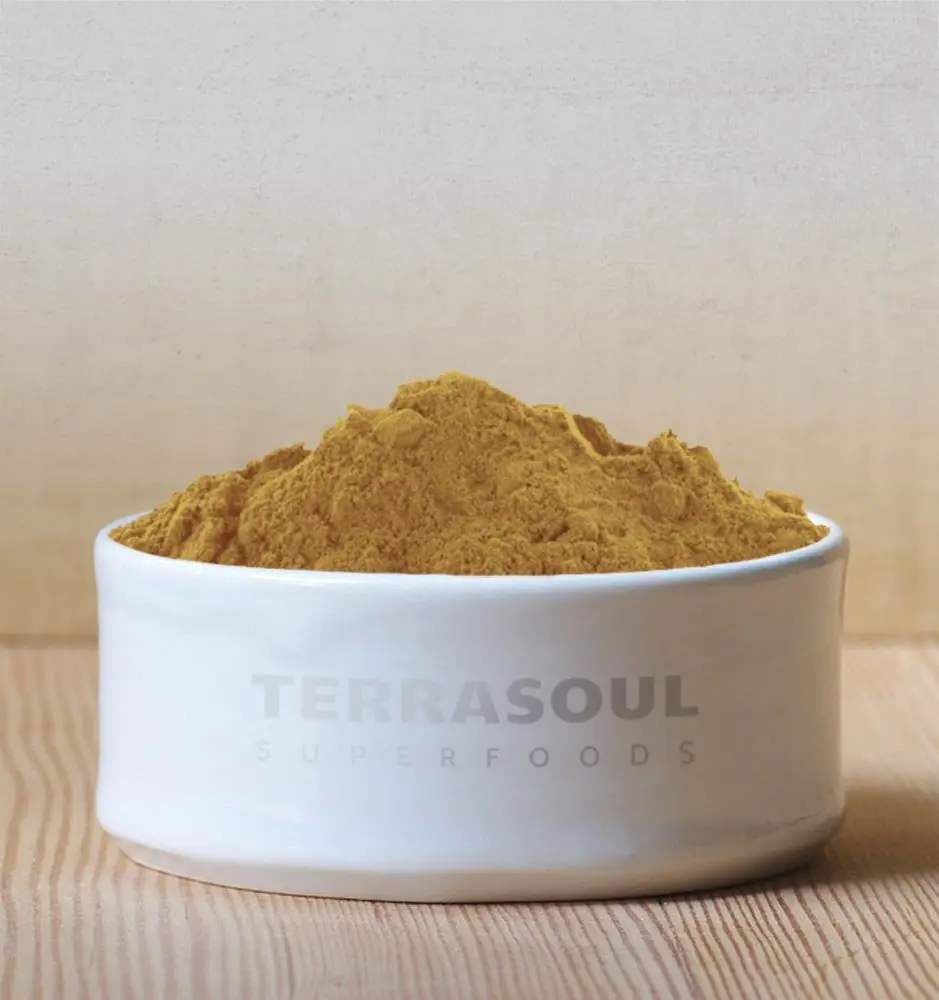 Terrasoul Superfoods Organic Lion's Mane Mushroom Powder (4:1 Extract), 11 Ounces | Concentrated Mushroom for Brain & Digestive Health - view 3
