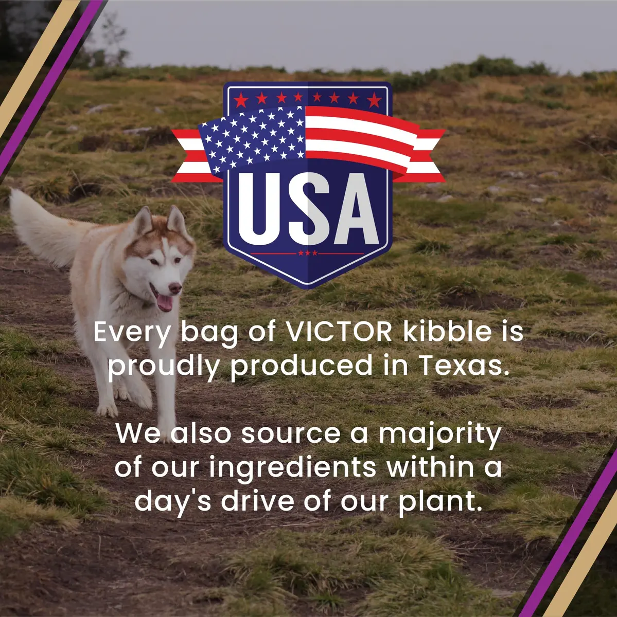 VICTOR Professional Dry Dog Food - Gluten-Free Active Dog Kibble, 5 lb | High Energy, Multi-Protein Nutrition - view 9