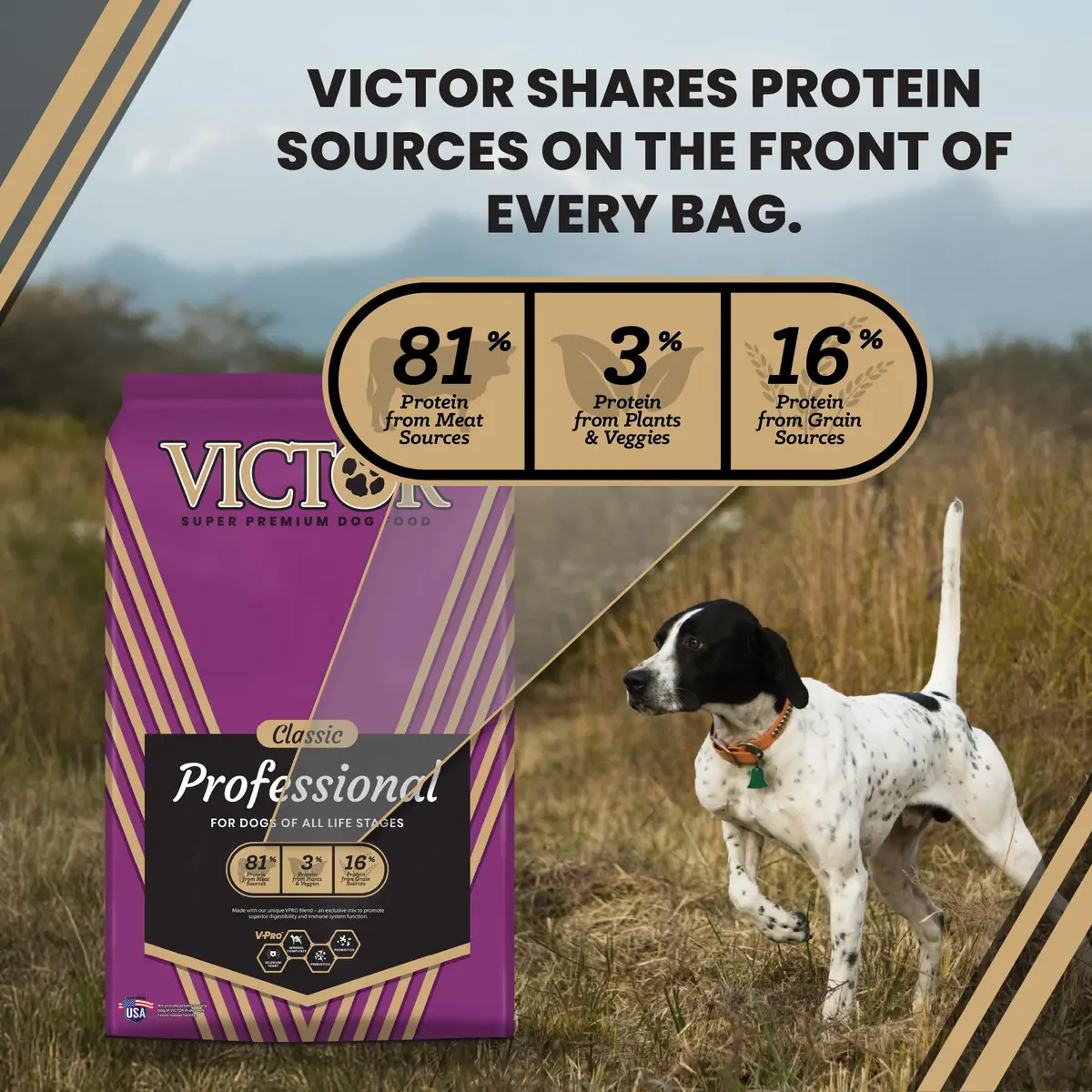 VICTOR Professional Dry Dog Food - Gluten-Free Active Dog Kibble, 5 lb | High Energy, Multi-Protein Nutrition - view 4