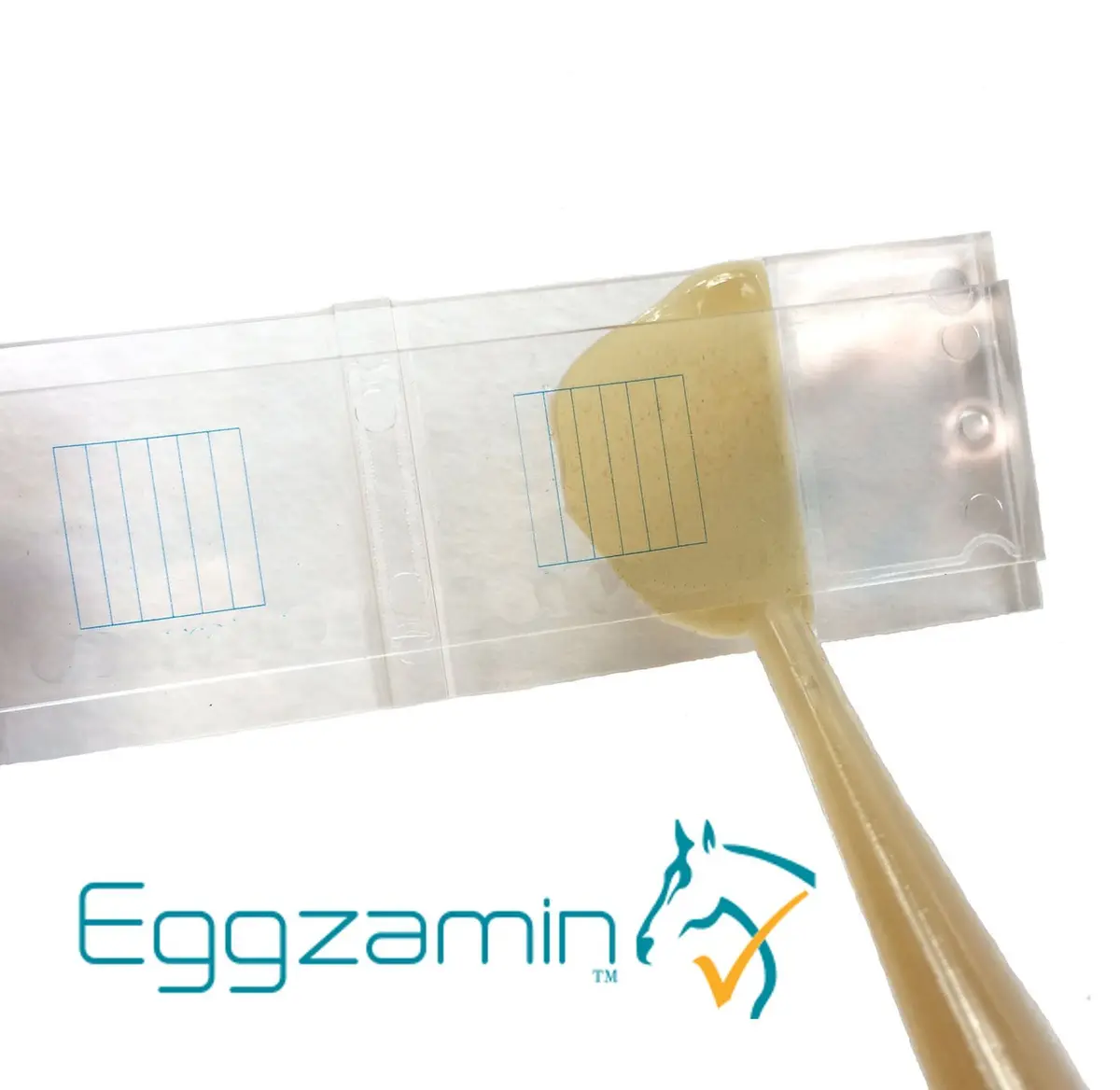 Eggzamin McMaster Method Microscope Slide for Fecal Egg Counts (FEC), Double Chamber Counting Slide for Livestock and Veterinary Use, Blue Grid Lines, 2.3cm x 7.6cm - view 4