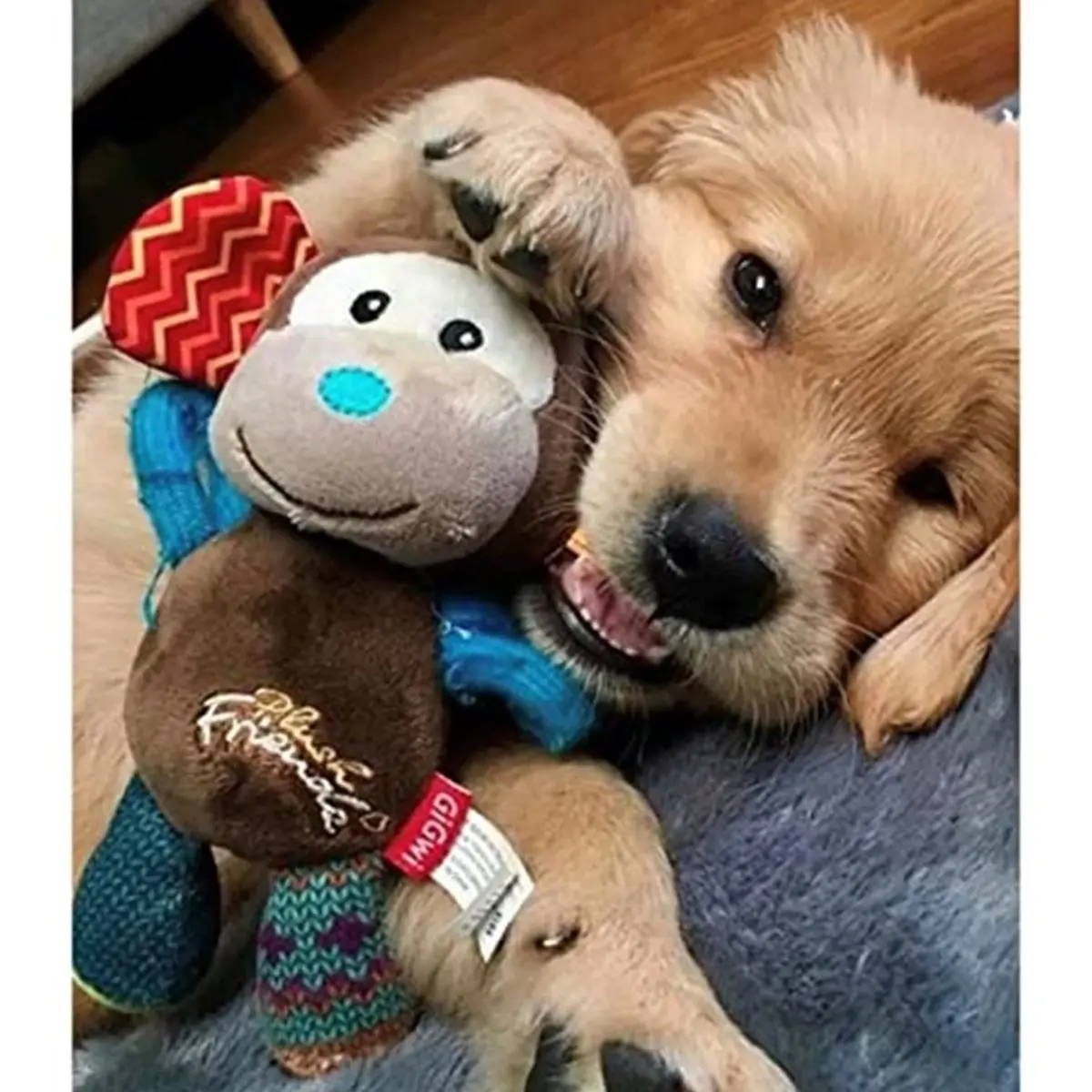 Gigwi Dog Toy Plush Friends Puffy Animal Monkey | Soft, Durable & Easy to Hold (24cm) - view 2