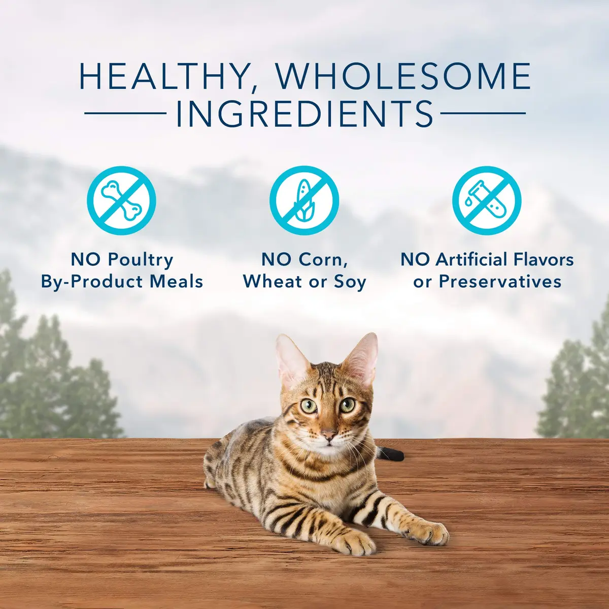 Blue Buffalo Wilderness Tasty Trout Crunchy Cat Treats 2 oz (Pack of 12) | High Protein Grain-Free Cat Snacks - view 4
