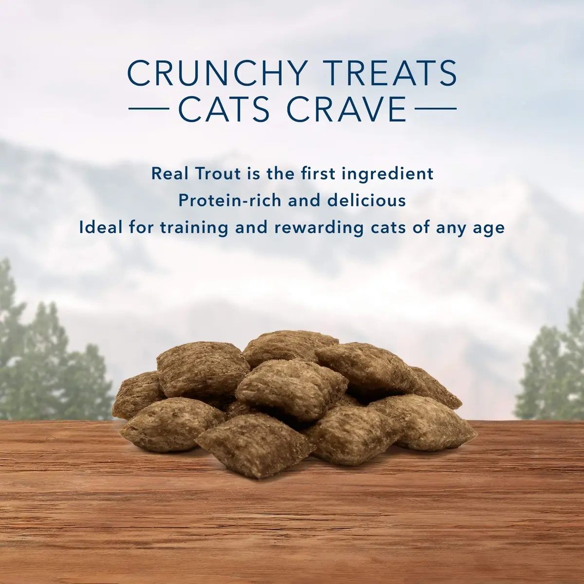 Blue Buffalo Wilderness Tasty Trout Crunchy Cat Treats 2 oz (Pack of 12) | High Protein Grain-Free Cat Snacks - view 3