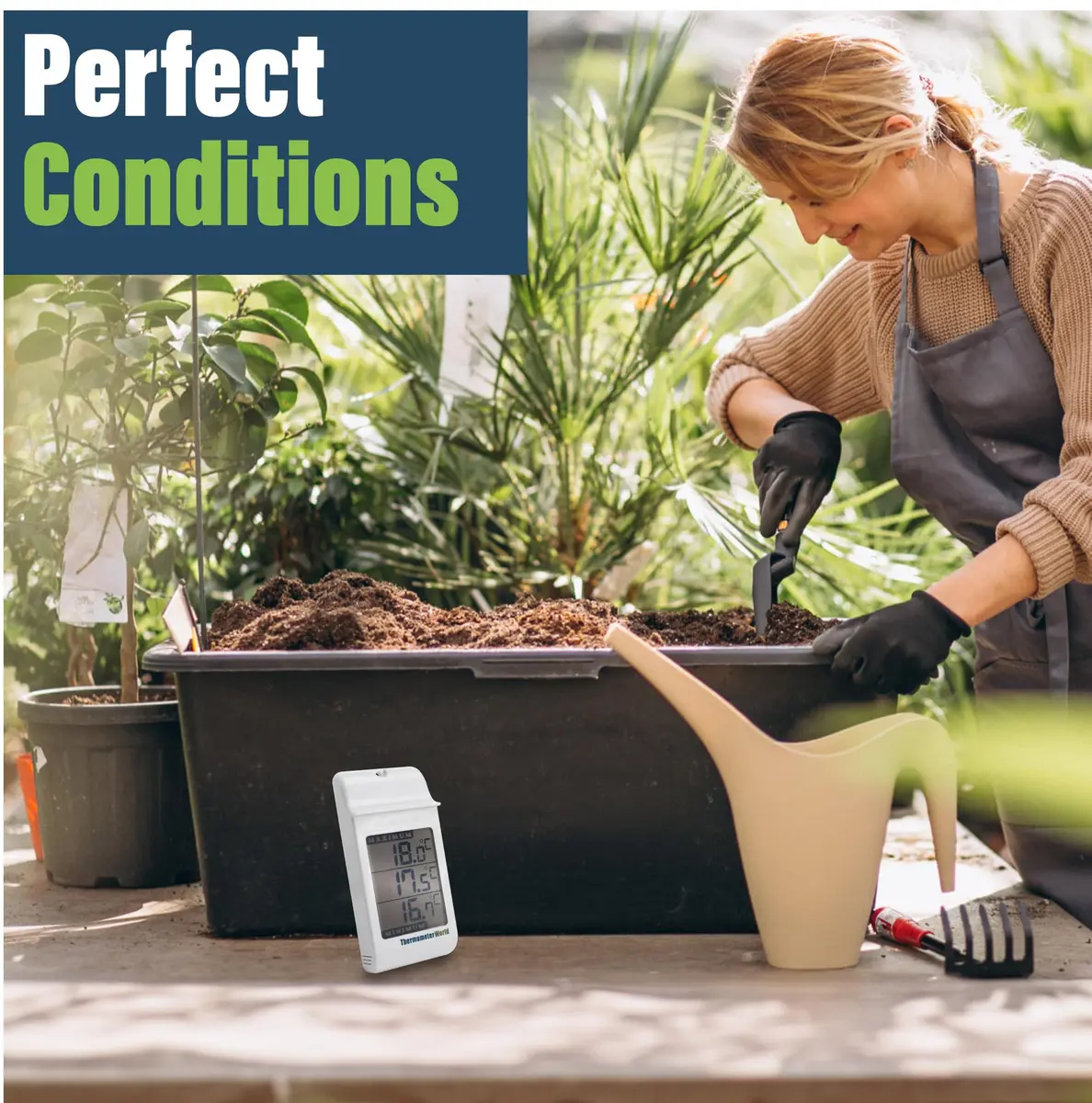 Thermometer World Digital Max Min Greenhouse Thermometer 180mm (7.1in) | Monitors Max & Min Temps for Gardens & Greenhouses - view 6