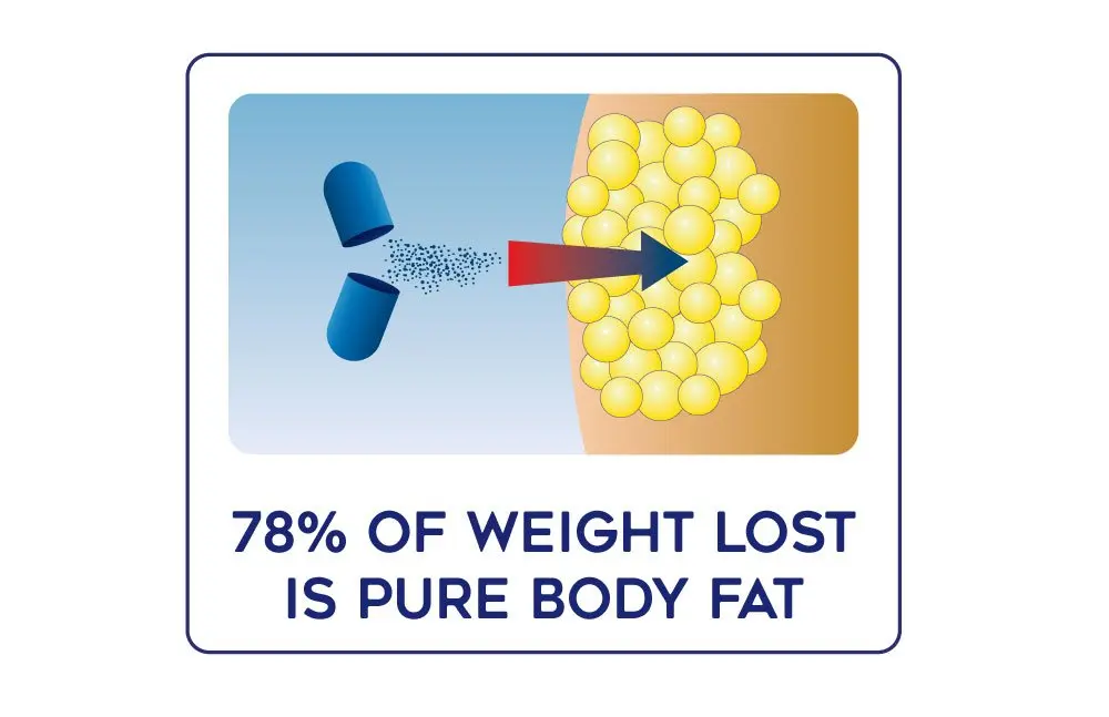 Lipozene MEGA Bottle - 120 Capsules | Largest Appetite Suppressant Size, Supports Fat Loss - view 5