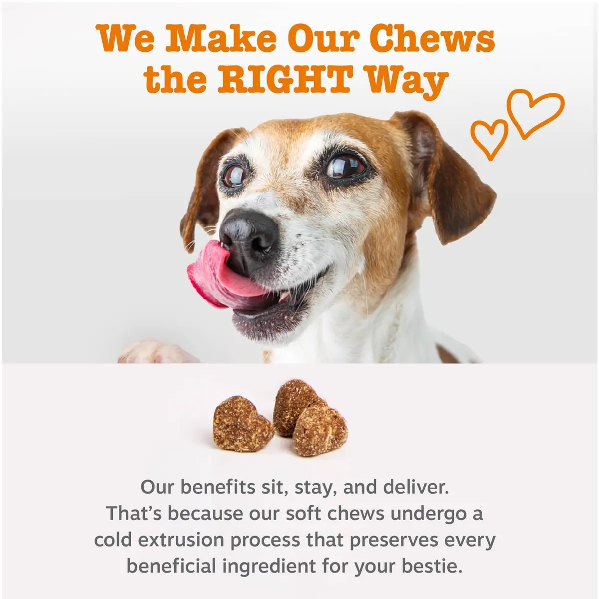 Zesty Paws Probiotics for Dogs - Gut Health Soft Chews, Pumpkin, 90 Ct | Supports Digestive & Immune Function - view 5