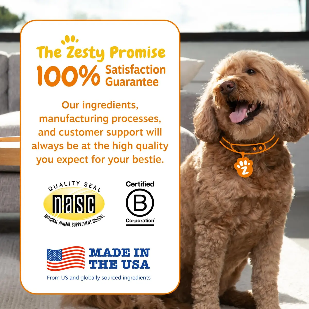 Zesty Paws Probiotics for Dogs - Gut Health Soft Chews, Pumpkin, 90 Ct | Supports Digestive & Immune Function - view 7