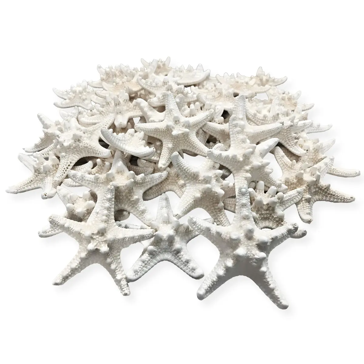 Nautical Crush Trading Real White Knobby Starfish 3"-4" | Coastal Nautical Decor & Beach Wedding Accent - main product image
