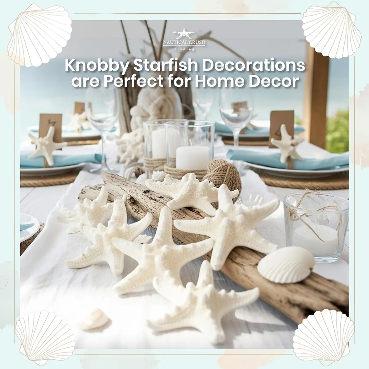 Nautical Crush Trading Real White Knobby Starfish 3"-4" | Coastal Nautical Decor & Beach Wedding Accent - view 5