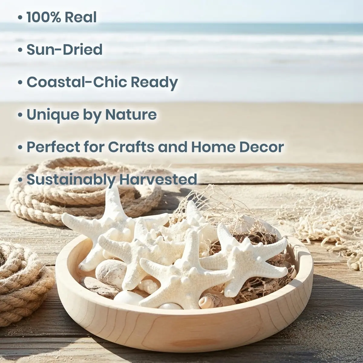 Nautical Crush Trading Real White Knobby Starfish 3"-4" | Coastal Nautical Decor & Beach Wedding Accent - view 2