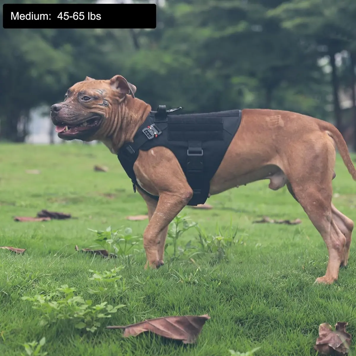 ICEFANG Tactical Dog Harness for Medium Dogs, Black | 1050D Nylon, Alloy Metal Buckles, MOLLE System - view 2