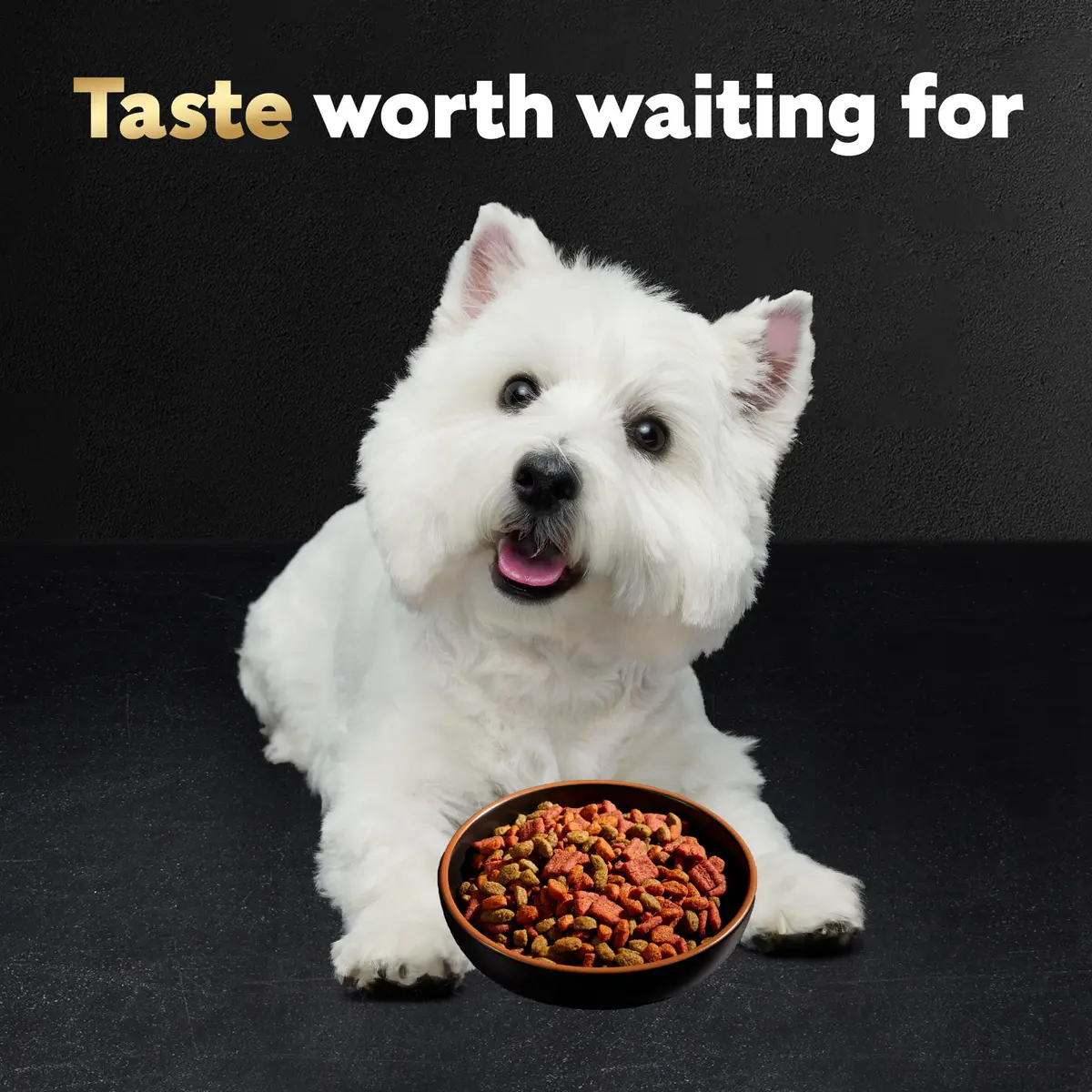 Cesar Small Breed Dry Dog Food, Chicken & Spring Vegetables Flavor, 1.23 kg (2.7 lb) | Nutritionally Complete & Balanced for Small Dogs - view 8