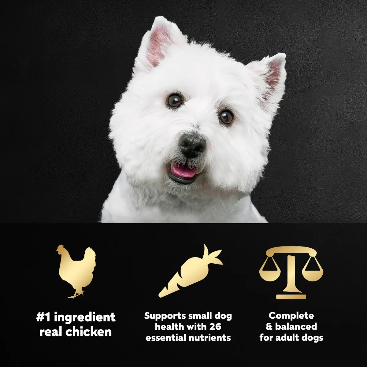 Cesar Small Breed Dry Dog Food, Chicken & Spring Vegetables Flavor, 1.23 kg (2.7 lb) | Nutritionally Complete & Balanced for Small Dogs - view 2