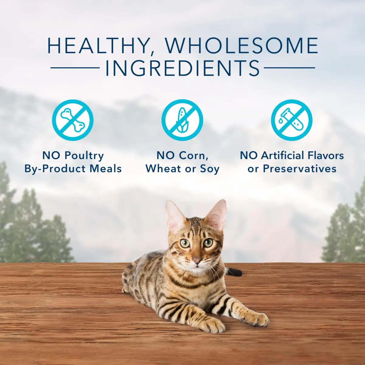 Blue Buffalo Wilderness Tasty Chicken Crunchy Cat Treats, 2 oz (Pack of 12) | Grain-Free, Real Chicken First Ingredient - view 4