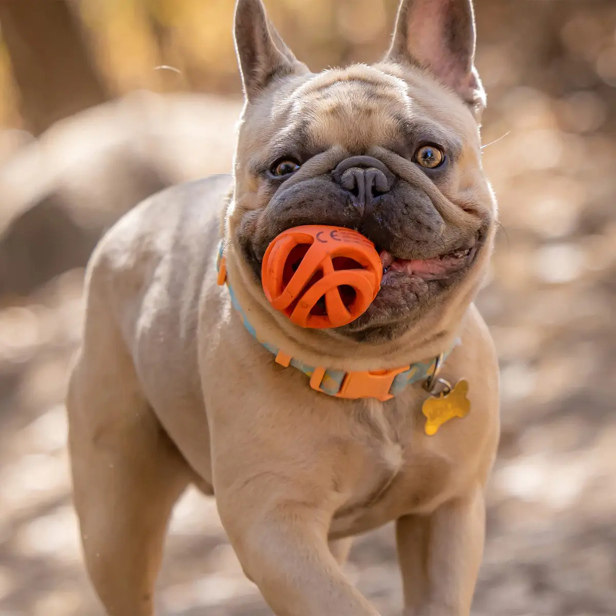 Chuckit! Air Fetch Dog Ball, Medium 2.5in | Breathable, Floating, Treat-Dispenser - view 3