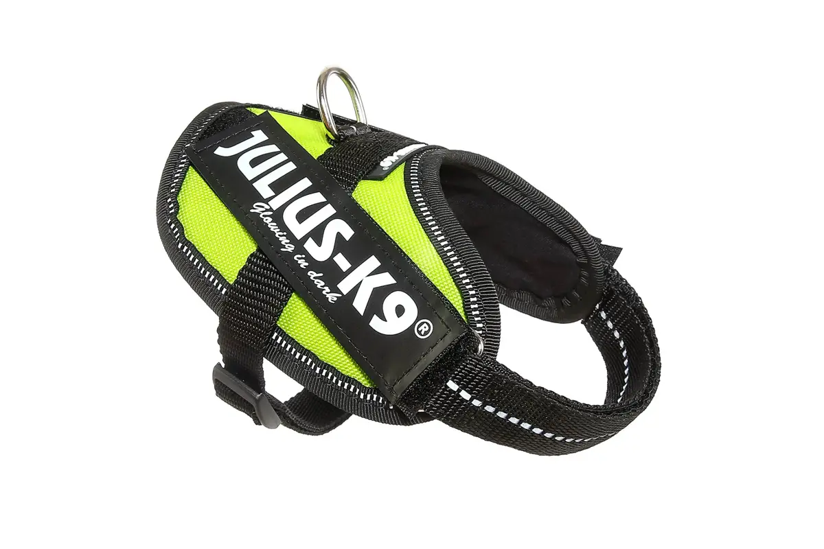 Julius-K9 IDC Powerharness Dog Harness Baby 2 (13-17.5 in Chest, 4.5-11 lbs) | Reflective & Breathable for Small Dogs - main product image