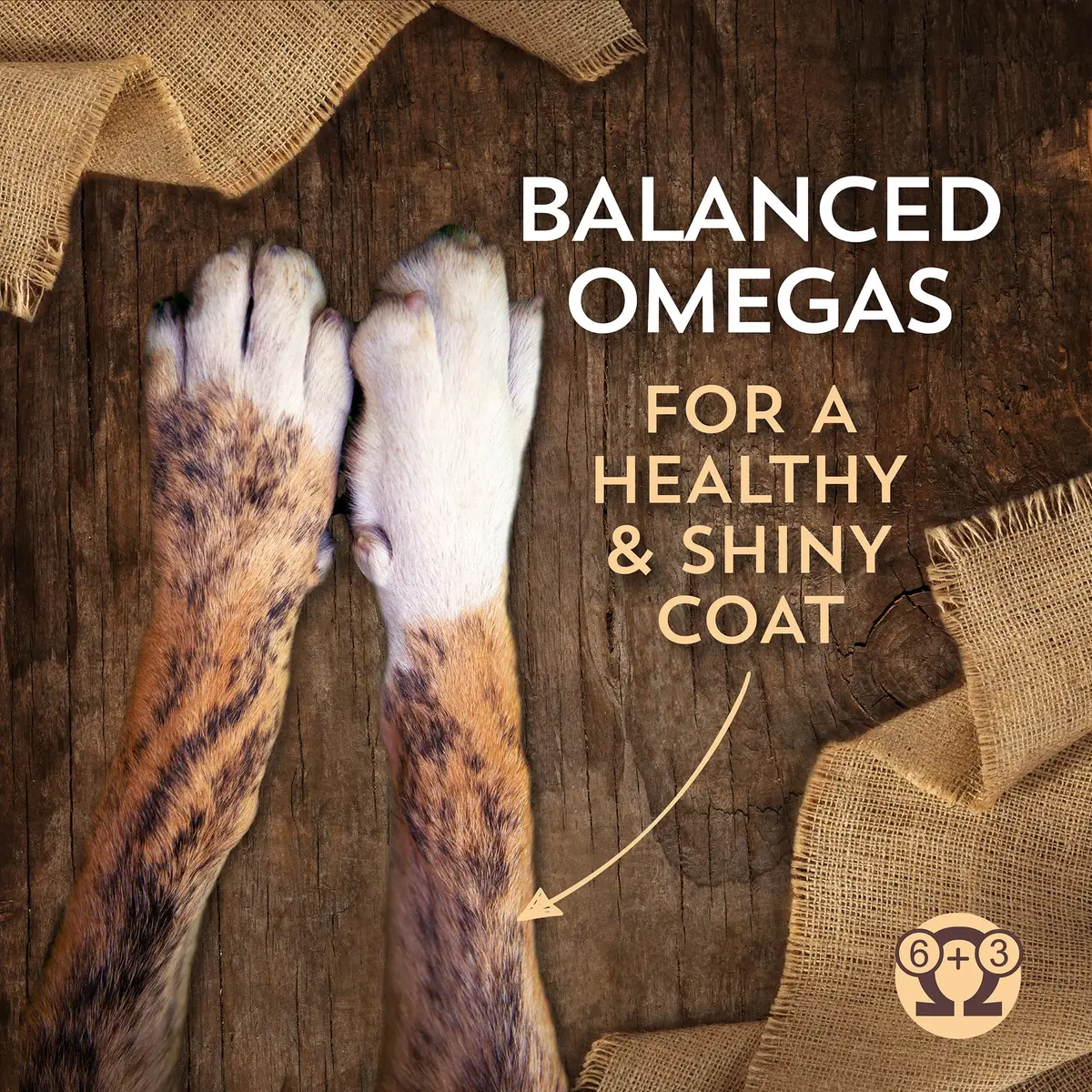 Wholesomes Chicken Meal & Potatoes Grain-Free Dry Dog Food 35 lb | High-Protein, Grain-Free Nutrition - view 3