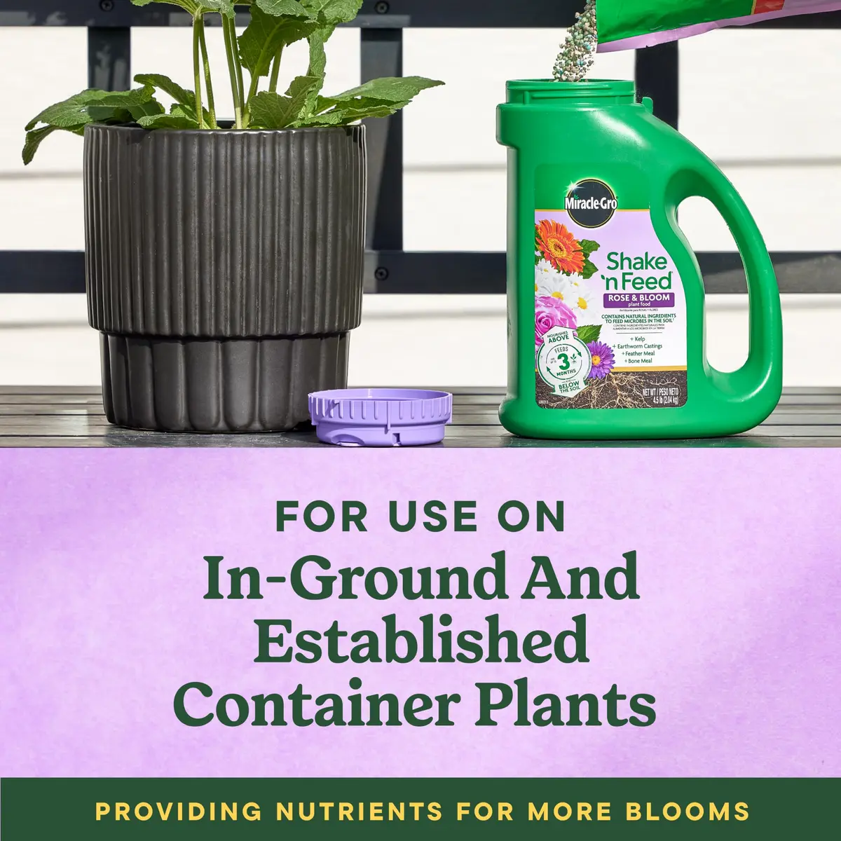 Miracle-Gro Indoor Potting Mix for Orchids 8 qt. | Supports Strong Roots & Blooming (70-120 chars) - view 7