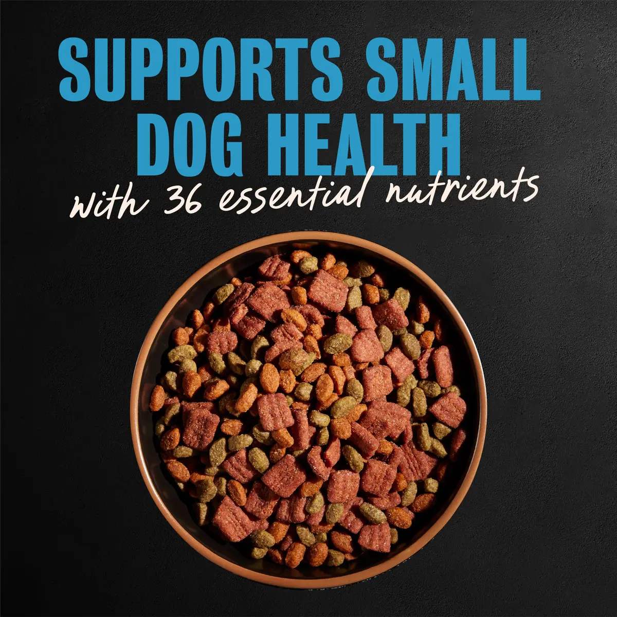 Cesar Small Breed Dry Dog Food Chicken Flavor & Spring Vegetables Garnish 2.27 kg (5 lb) | Real Chicken First Ingredient - view 3