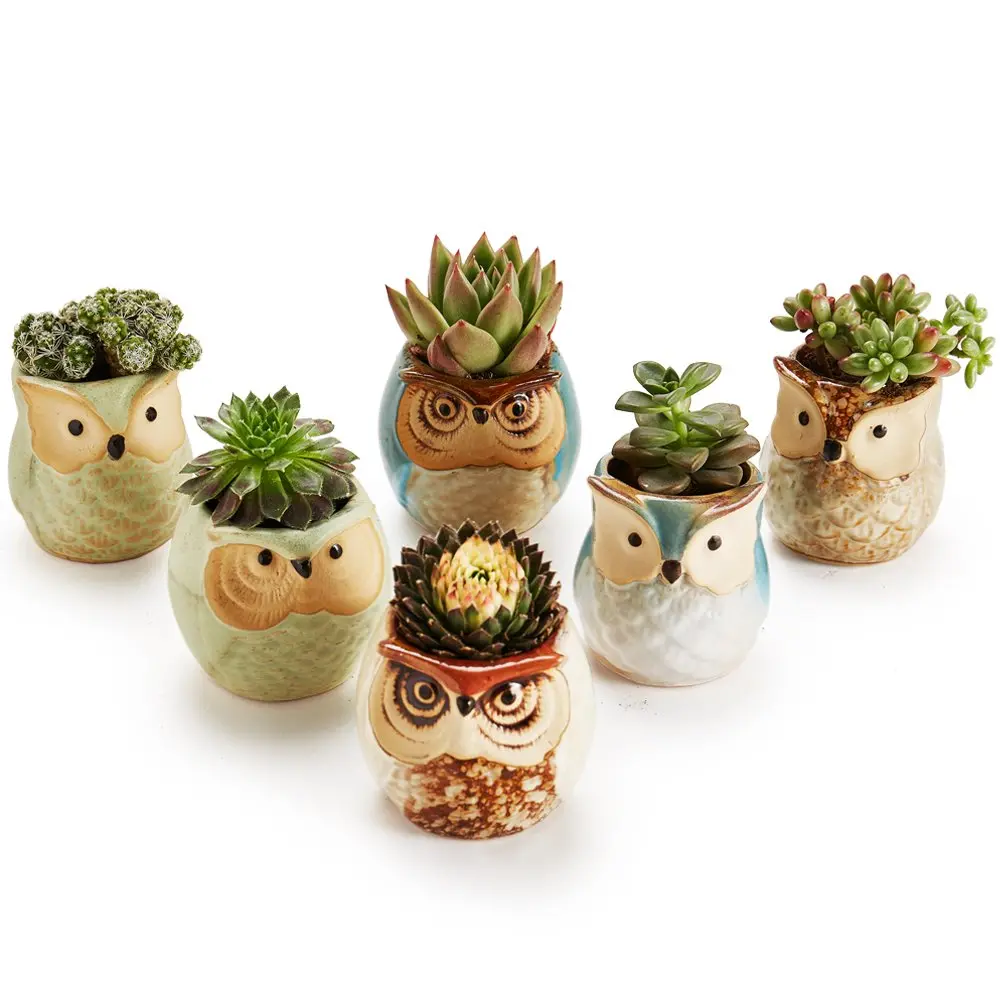 SUN-E SE Owl Pot Ceramic Flowing Glaze Base Serial Set Succulent Plant Pot 6pcs 2.5 Inch | Modern Garden Decor - view 5