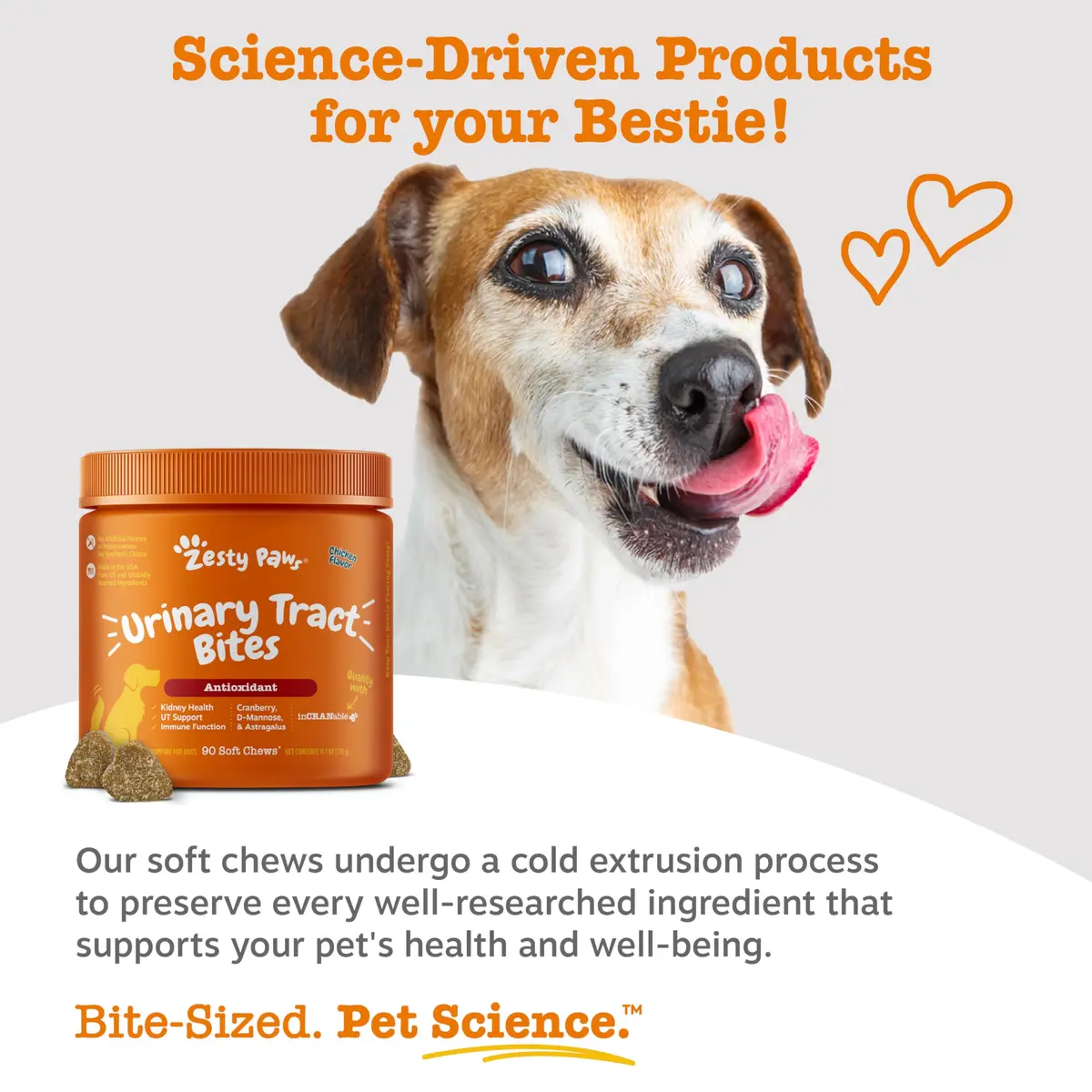 Zesty Paws Cranberry Supplement for Dogs - Chicken, 90 Ct | Urinary & Immune Support - view 5