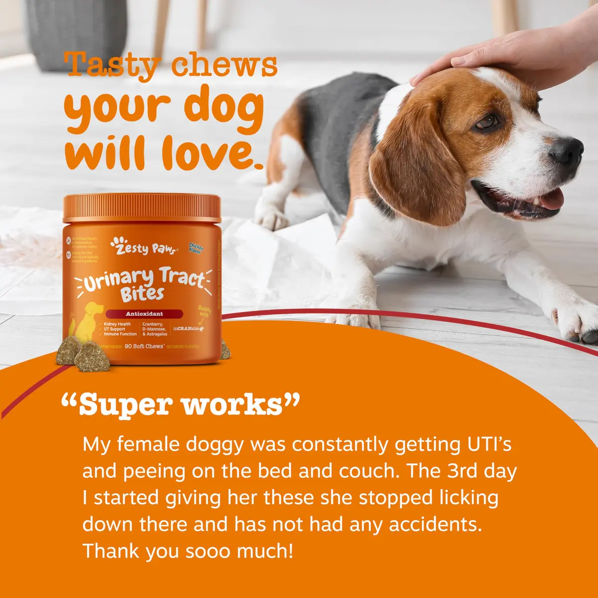 Zesty Paws Cranberry Supplement for Dogs - Chicken, 90 Ct | Urinary & Immune Support - view 6