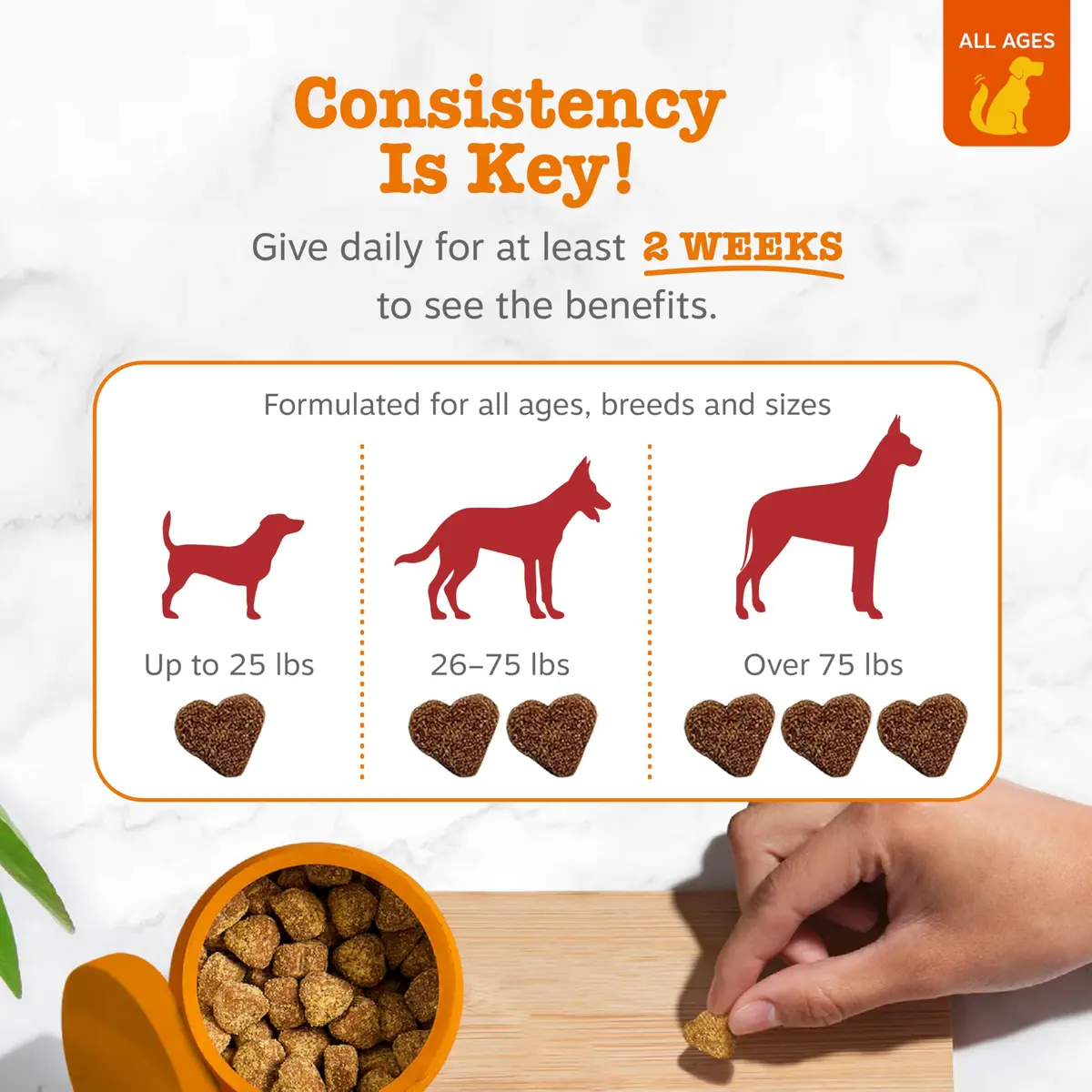 Zesty Paws Cranberry Supplement for Dogs - Chicken, 90 Ct | Urinary & Immune Support - view 4