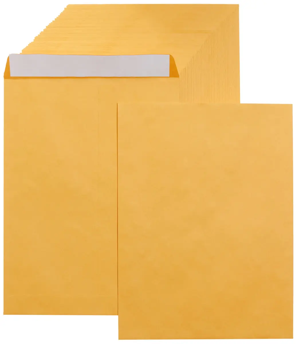 Amazon Basics Catalog Self Seal Mailing Envelopes 9" x 12" Brown Kraft 250-Pack | Peel & Seal Closure - main product image