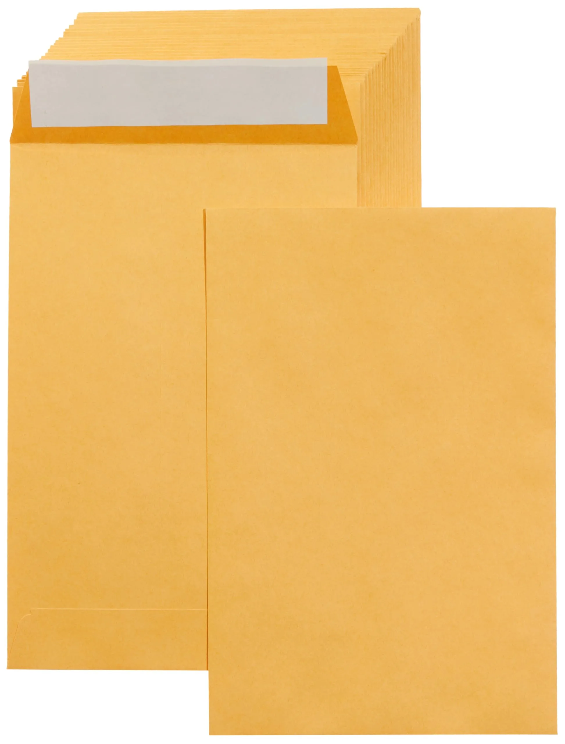 Catalog Envelopes