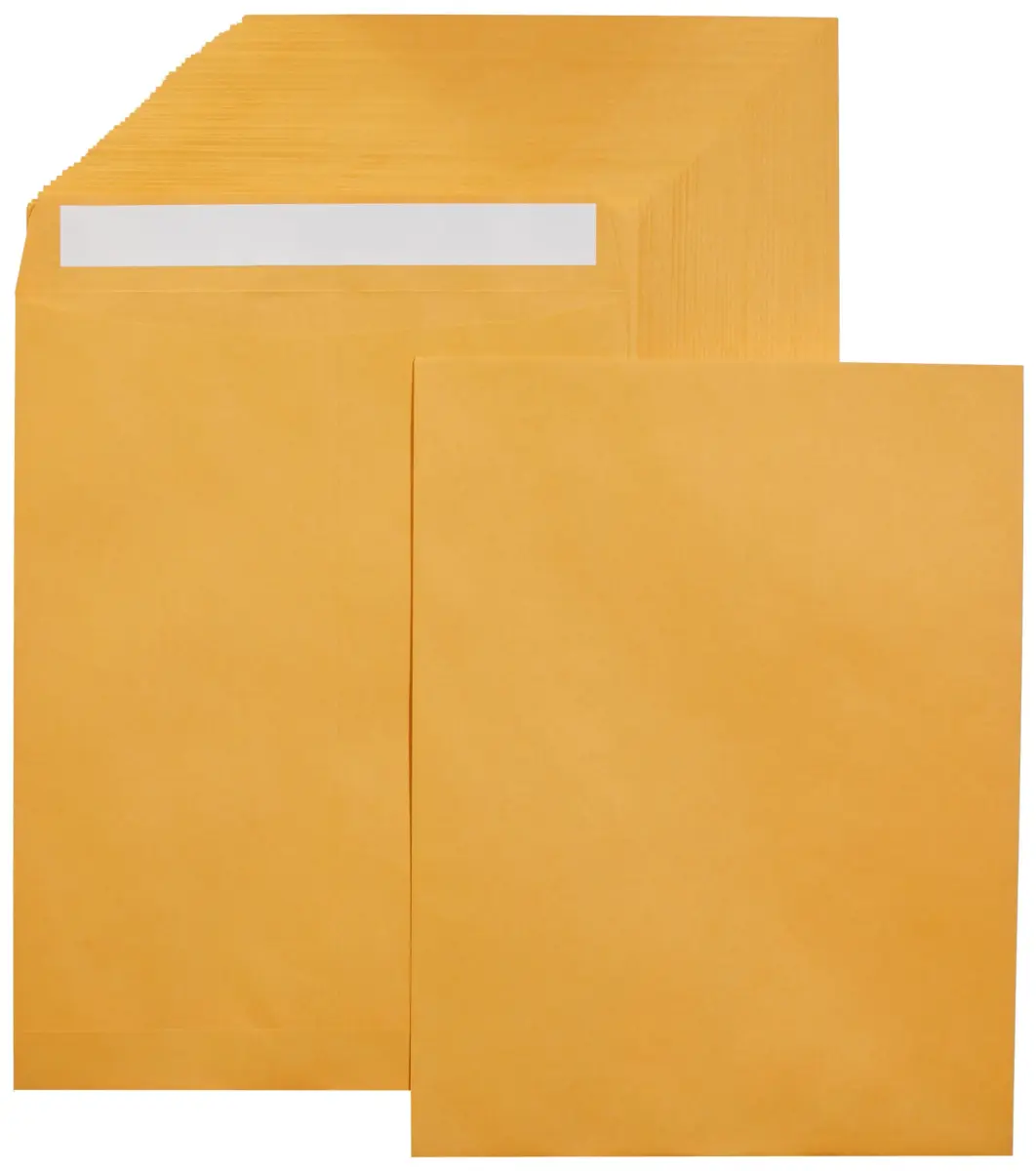 Amazon Basics Catalog Self Seal Mailing Envelopes 10 x 13 Inch Brown Kraft 250-Pack | Peel and Seal Closure - main product image