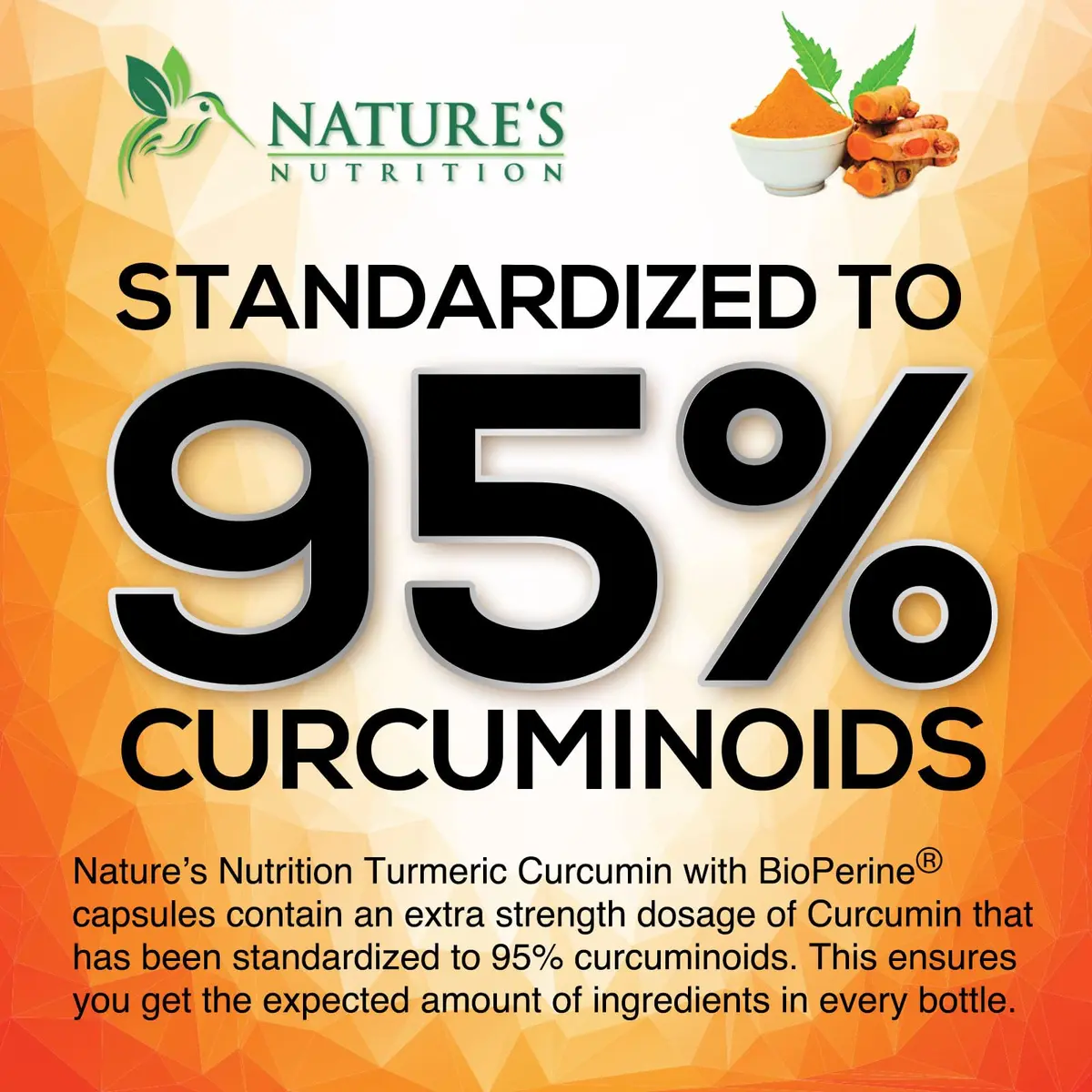 Nature's Nutrition Turmeric Curcumin Supplement 1950mg with BioPerine | Vegan Joint Support Capsules (120 Count) - view 3