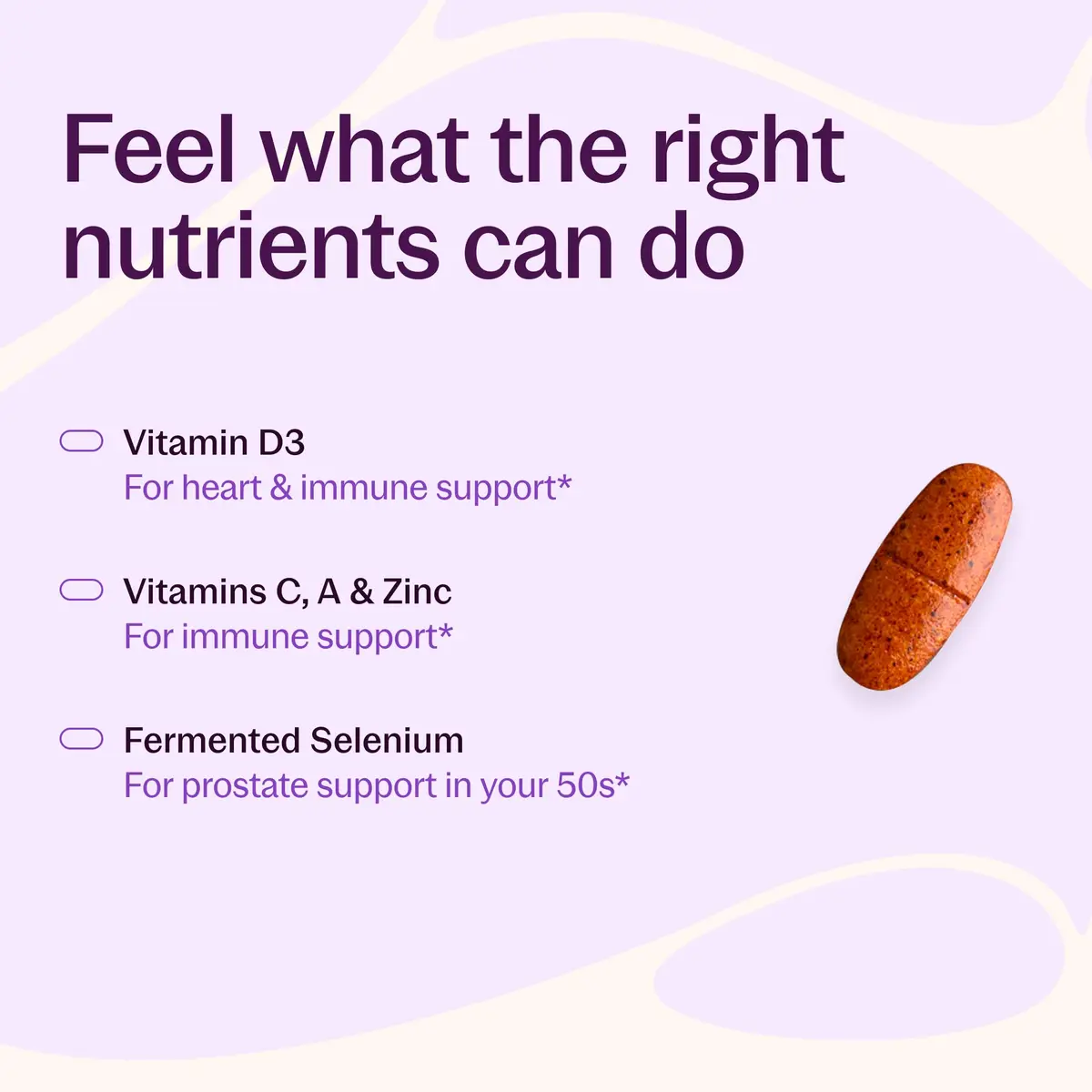 New Chapter Every Man's One Daily 55+ Multivitamin 72 Tablets | Supports Immune & Energy - view 4