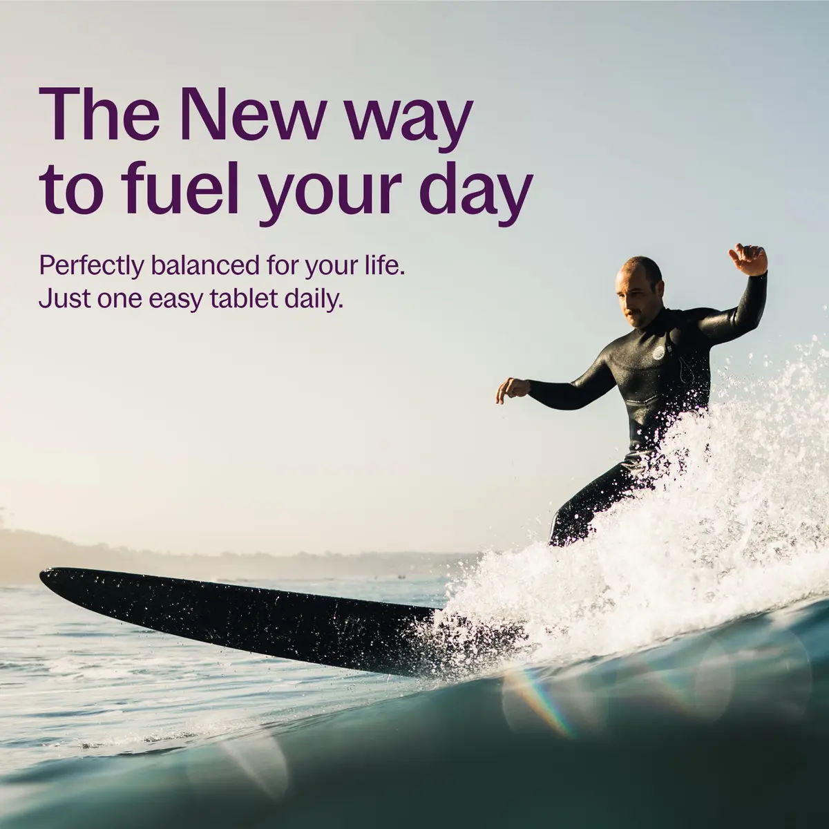New Chapter Every Man's One Daily 55+ Multivitamin 72 Tablets | Supports Immune & Energy - view 5