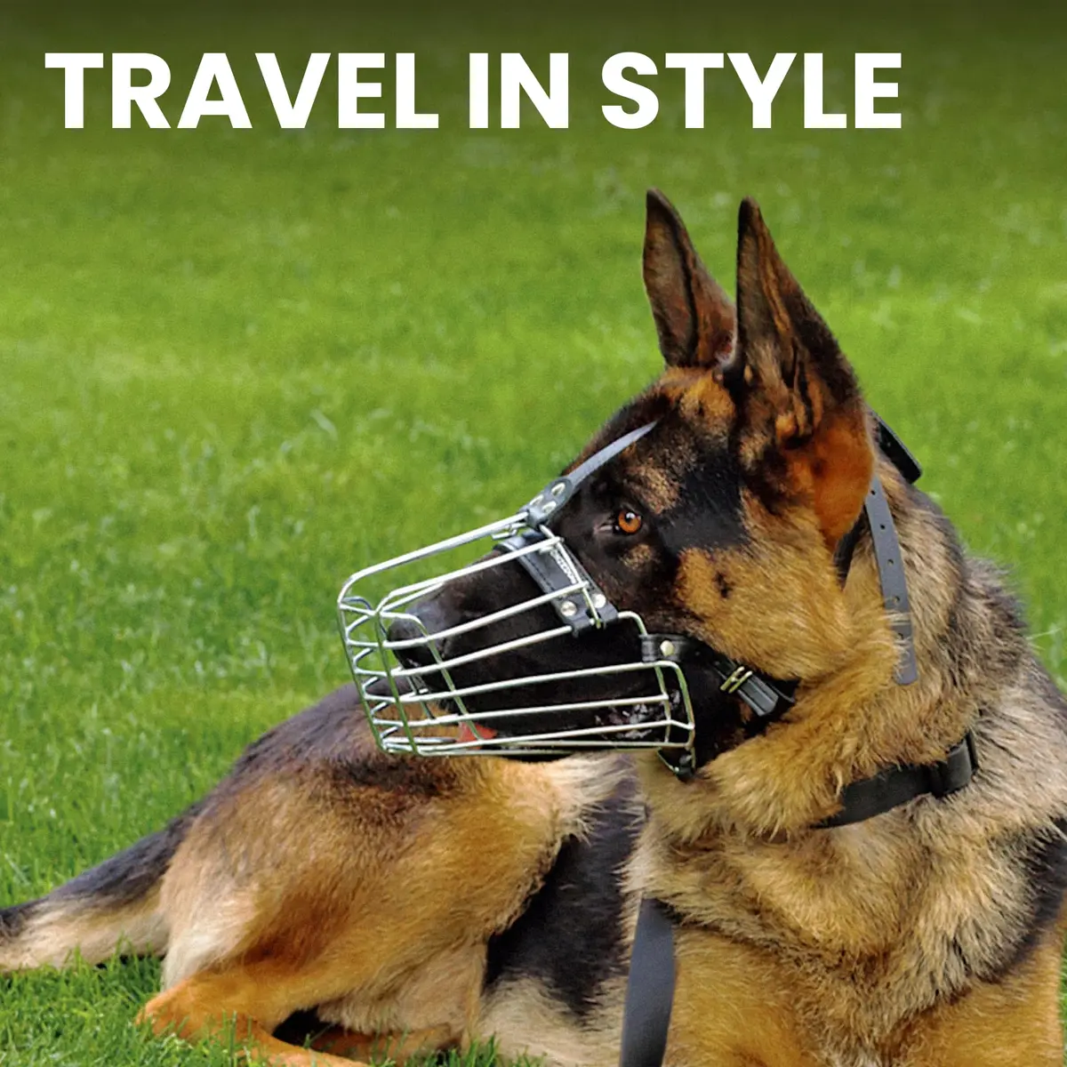 BRONZEDOG Wire Basket Dog Muzzle for Large Dogs | Adjustable Leather & Steel Snout Fit - view 8