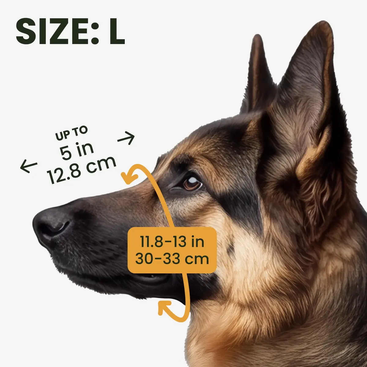 BRONZEDOG Wire Basket Dog Muzzle for Large Dogs | Adjustable Leather & Steel Snout Fit - view 2