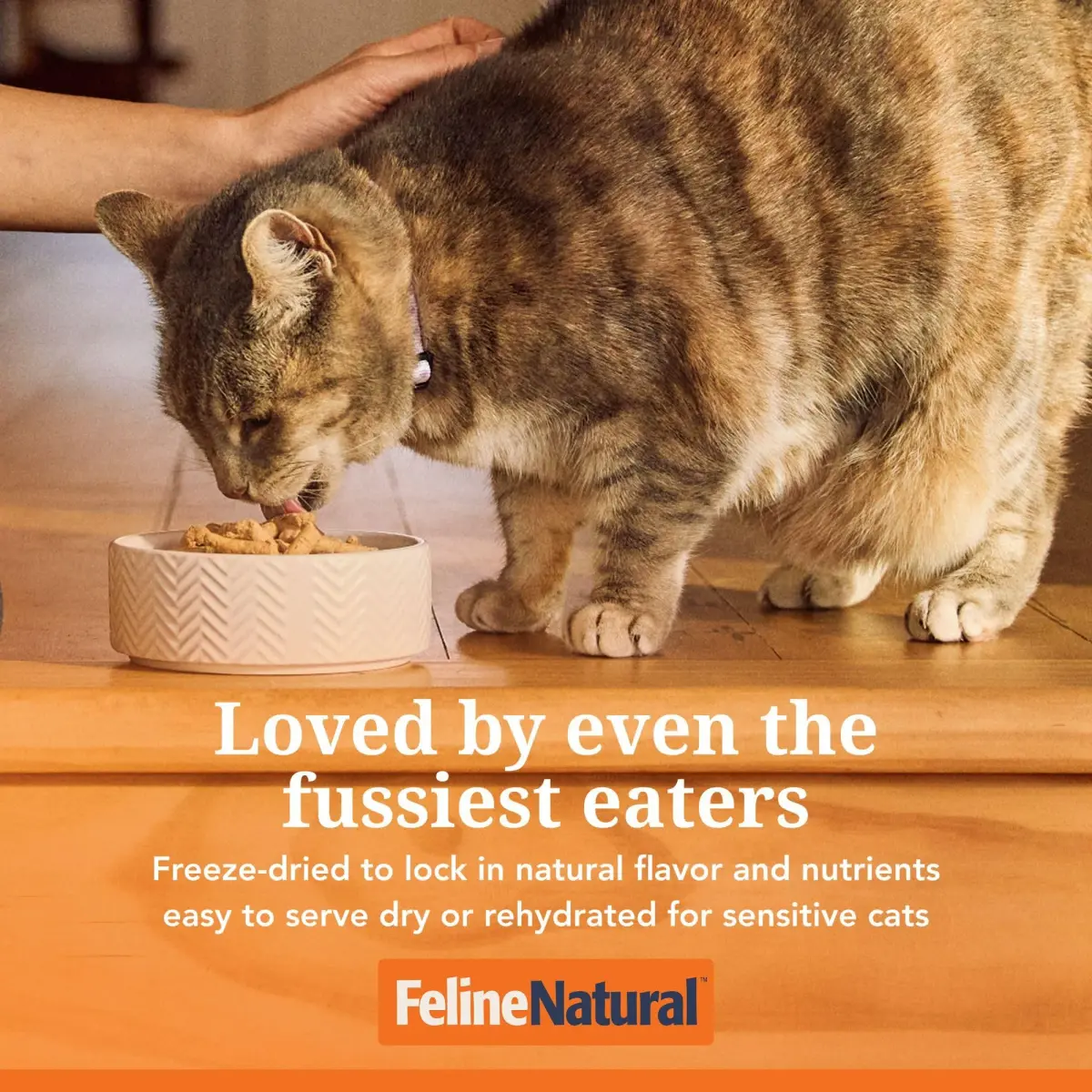 Feline Natural High Protein Freeze Dried Cat Food 11 oz (312 g) | 98% Meat Diet for Cats - view 3