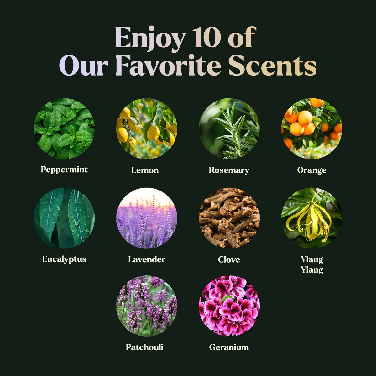 Lagunamoon Essential Oils Set - Top 10 Blends | Fragrance, Aromatherapy, Candle Making (0.33 Fl Oz x10) - view 5