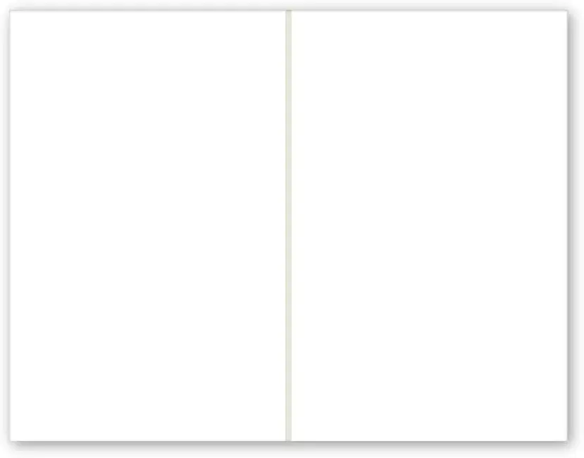PACKZON White Shipping Labels 8.5 x 5.5 Inches (300 Labels) | Professional Grade, Permanent Adhesive - view 5