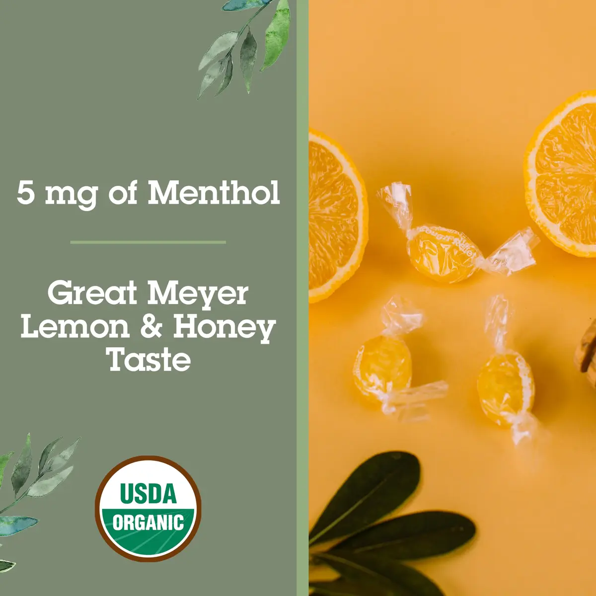 Quantum Organic Cough Drops Meyer Lemon & Honey 18 Lozenges | Soothing Throat & Cough Relief - view 2