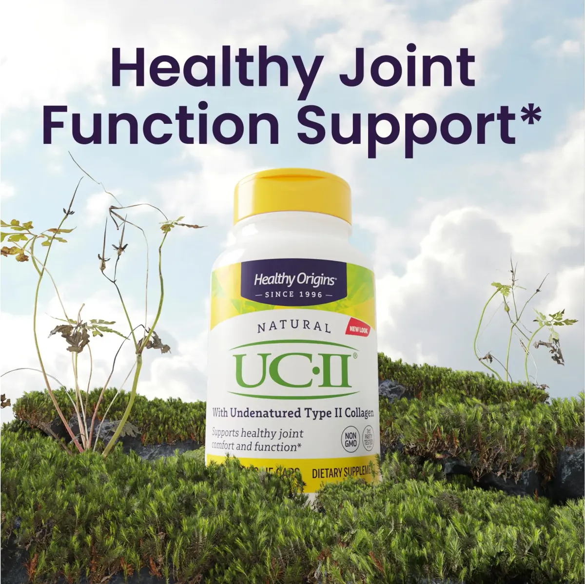 Healthy Origins UC-II Collagen 40 mg, 60 Veggie Caps | Joint Support with Clinical Studies - view 4