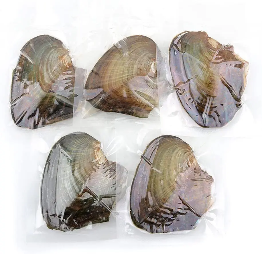 NIGHT-GRING 10 PC Freshwater Cultured Pearl Oyster Oval Pearls 7.5-8mm | Assorted Colors - view 7